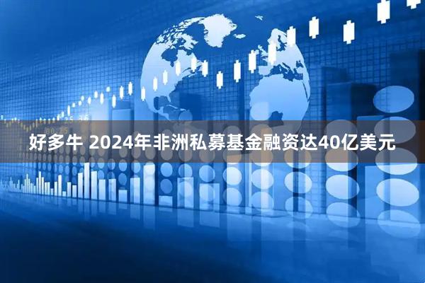 好多牛 2024年非洲私募基金融资达40亿美元